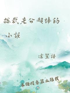 总裁老公超棒的 小说