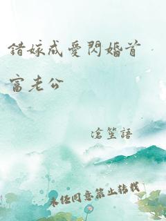 错嫁成爱闪婚首富老公