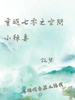 重返七零之空间小辣妻