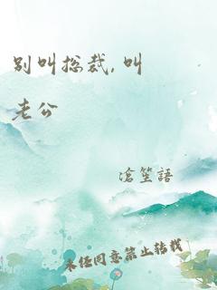别叫总裁, 叫老公