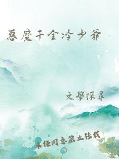恶魔千金冷少爷