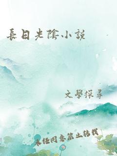 长日光阴小说