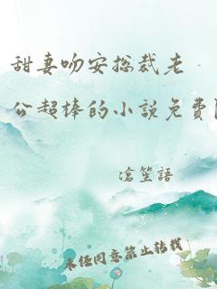 甜妻吻安总裁老公超棒的小说免费阅读